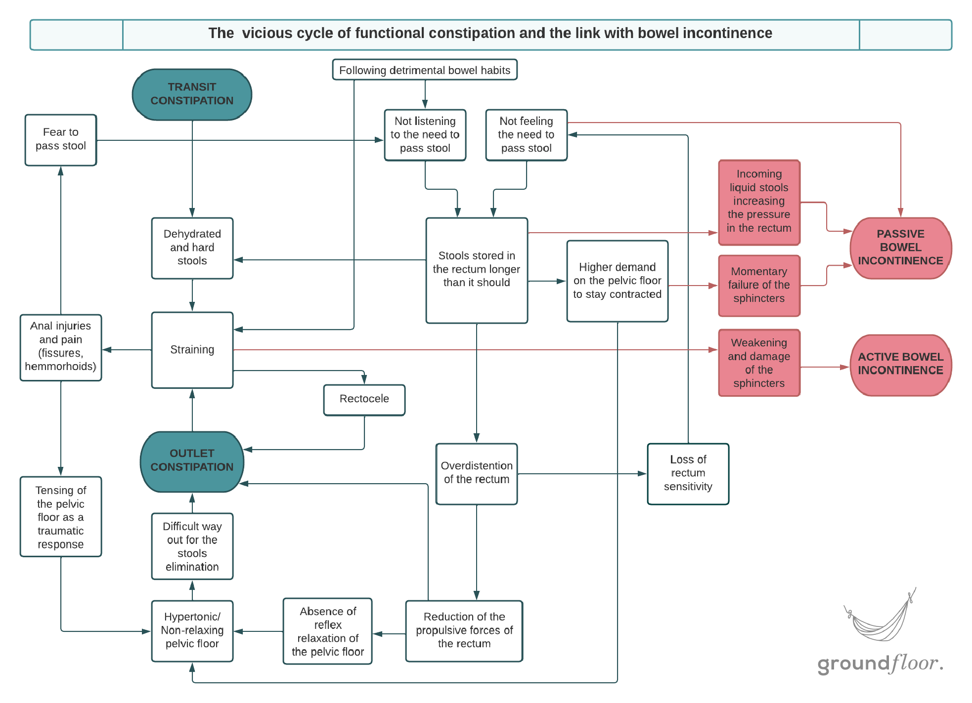 Diagramme bowel control 3 - watermark.png